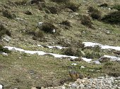 15-Incontro ravvicinato al ritorno nella valle dell'Ombra